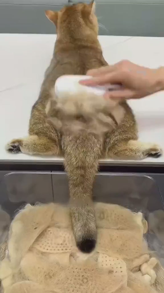 MeowAlliance™ SteamyPaws Brush
